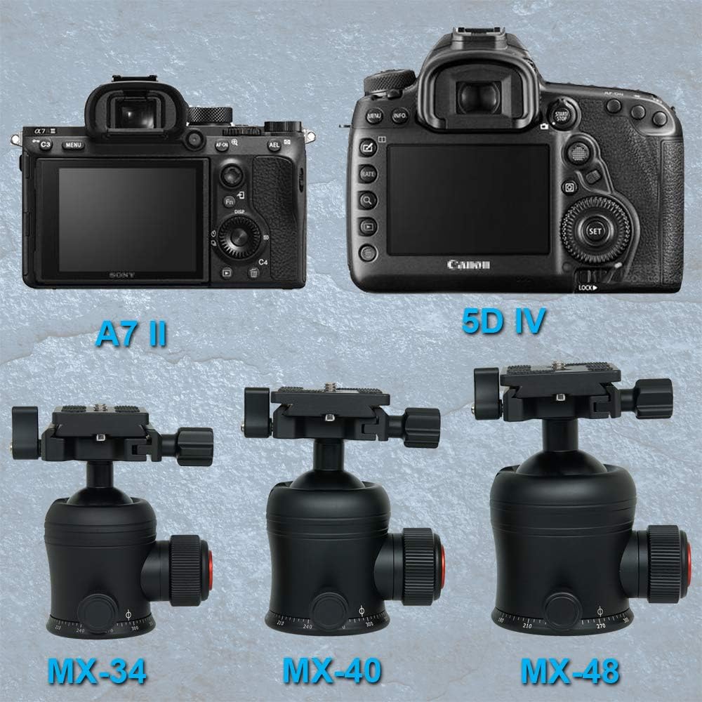 SIOTI Ball Head Tripod Mount, Ball Head Camera Mount, Camera Tripod Mount for DSLR Camera, Mirrorless Camera, Camcorder, Telescope, Action Camera, Slider, Tripod (40mm Diameter Ball)